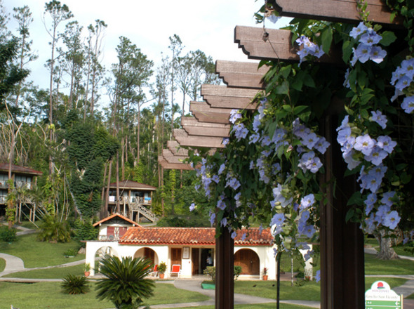 Horizontes Rancho San Vicente Hotell Vinales Exteriör bild